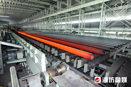 穩扎穩打有干頭 濰坊壽光 中小企業新賽道上 搶身位