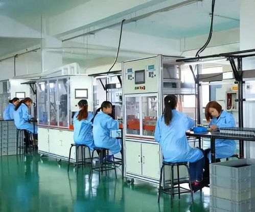 1980年我大學(xué)畢業(yè),剛到工廠上班妻子逼我當老師,改變了我的一生