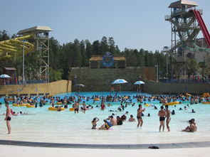 人工造浪設(shè)備,帶你體驗海邊沖浪的快感 水上樂園投資預(yù)算