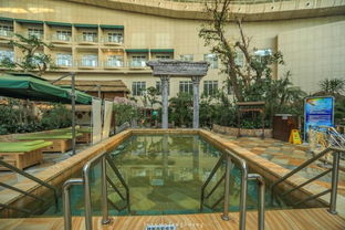 吹著海風，泡著溫泉，這個夏天有點不一樣 人工造浪設備的奇妙體驗